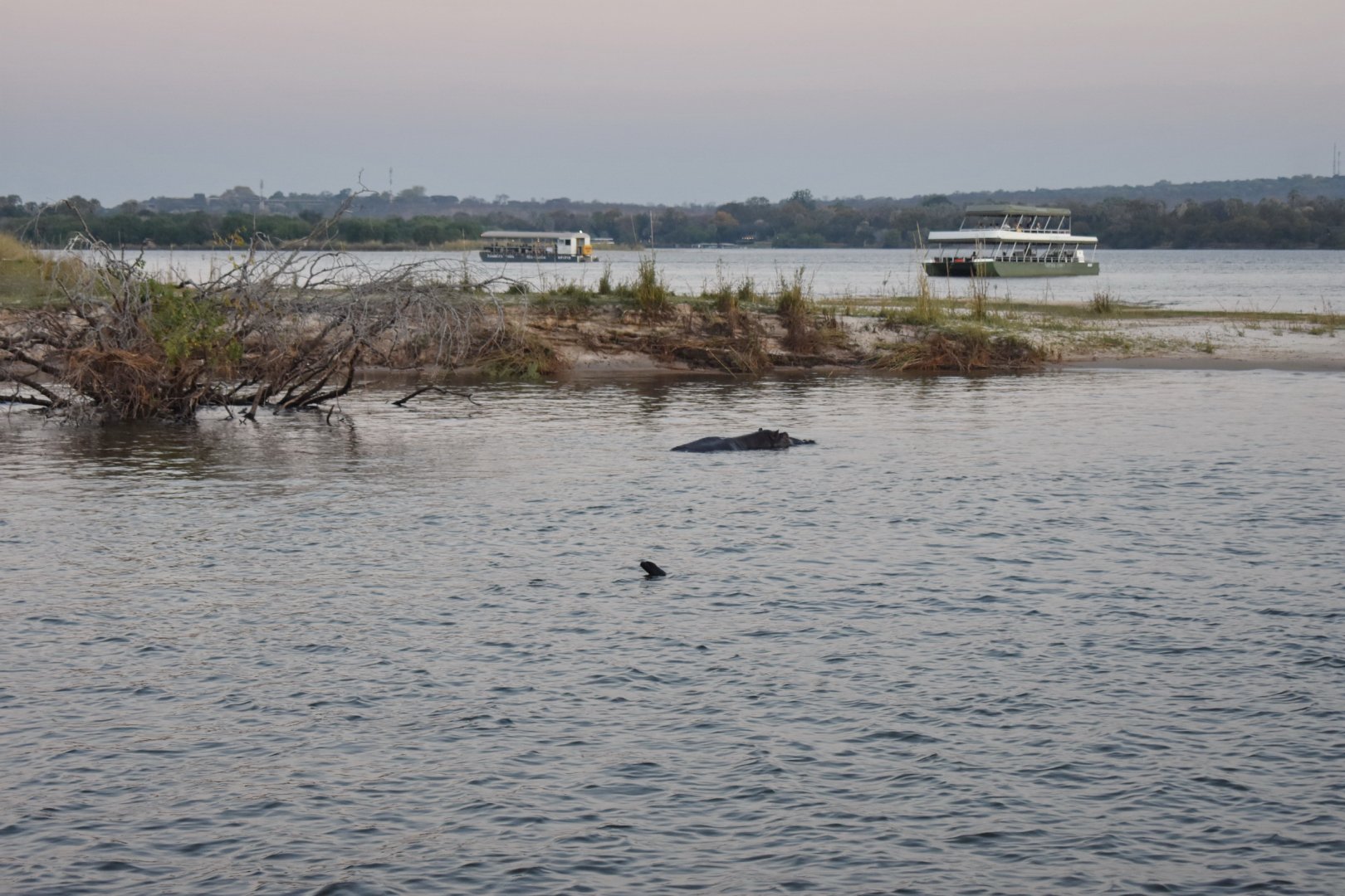 DSC_0999afb (28).JPG