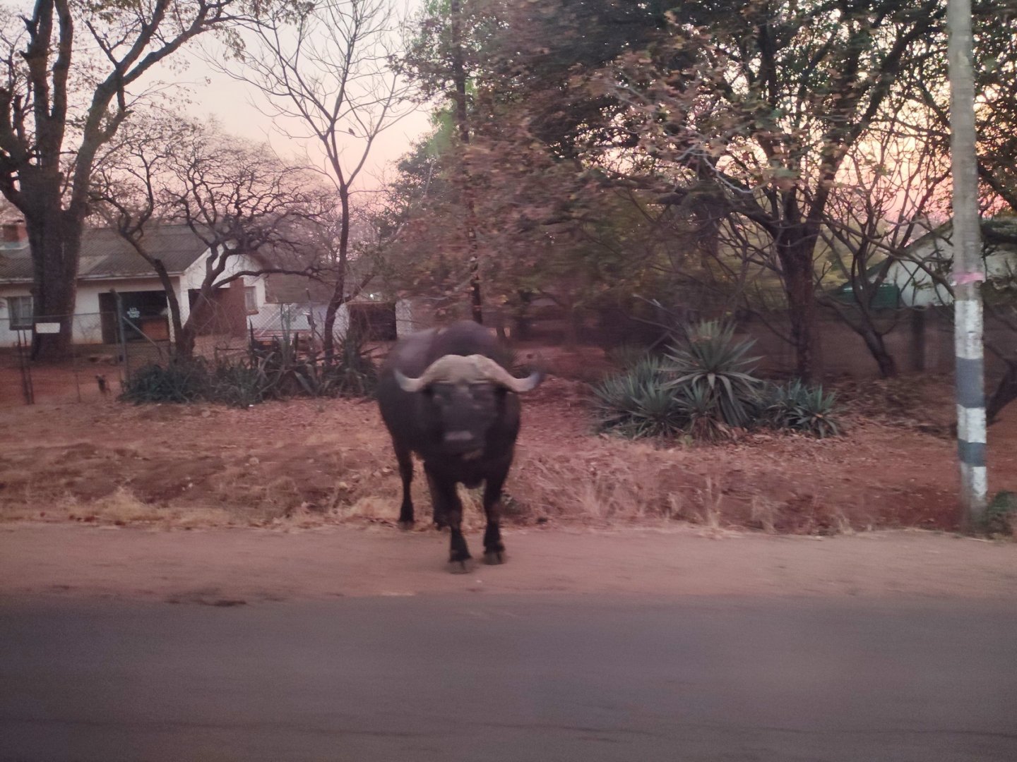 DSC_0999afb (36)b.jpg