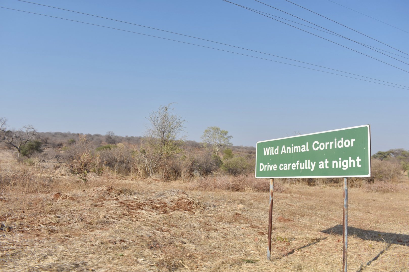 DSC_0999afb (42).JPG