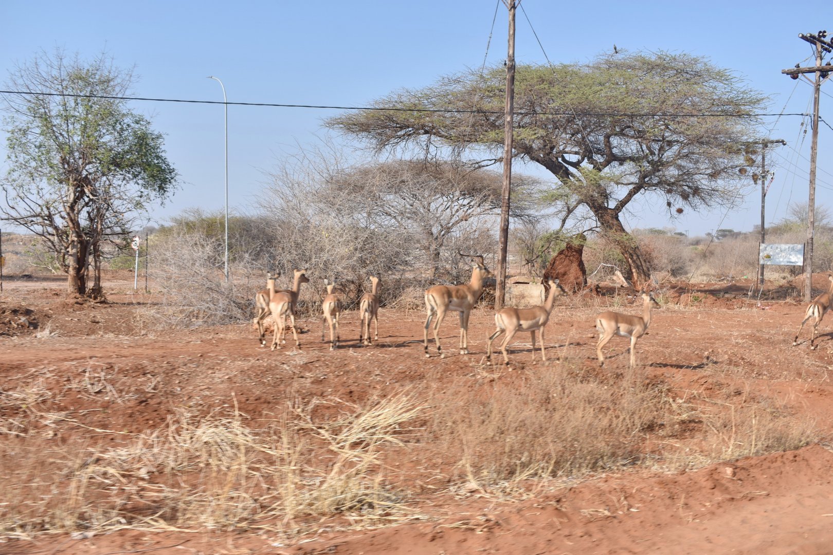 DSC_0999afb (46).JPG