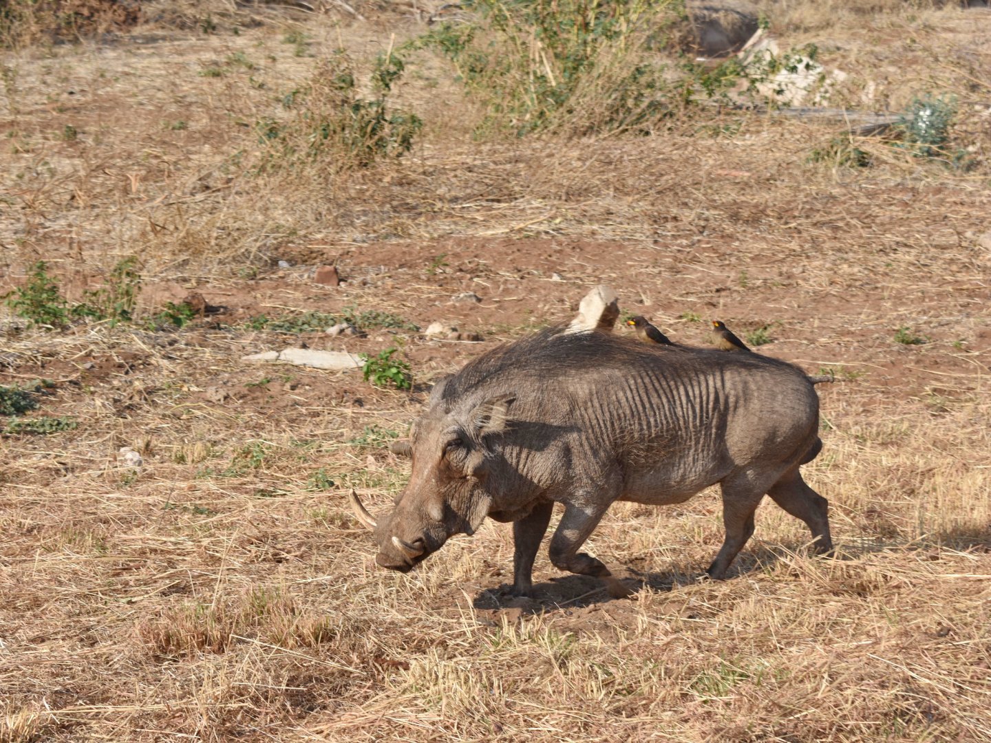 DSC_0999afb (48).JPG