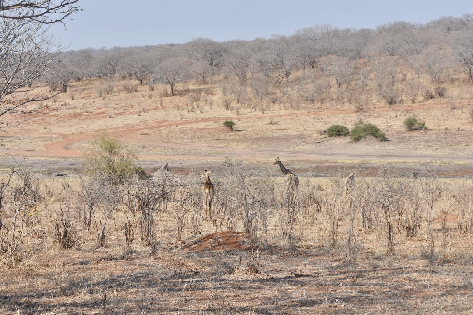 DSC_0999afb (55).JPG