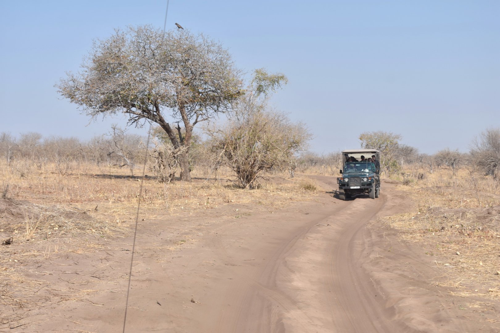 DSC_0999afb (59).JPG