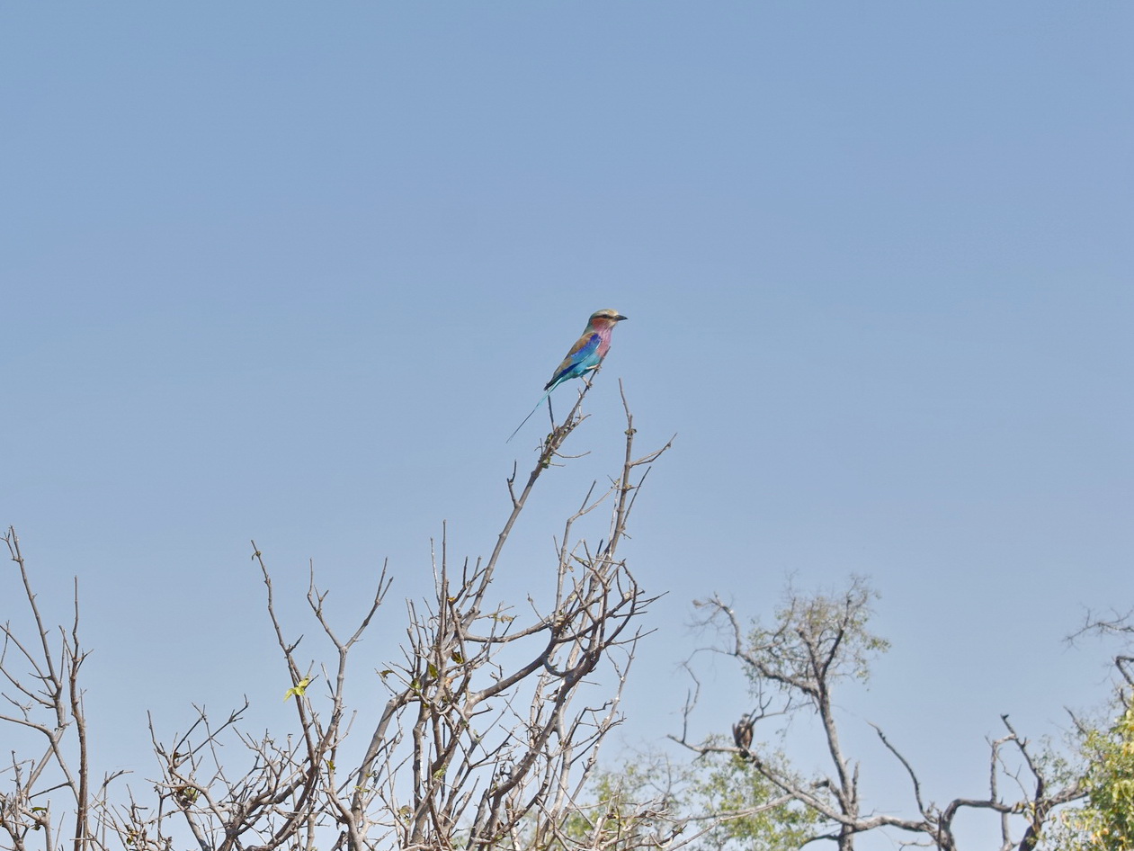 DSC_0999afb (68).JPG