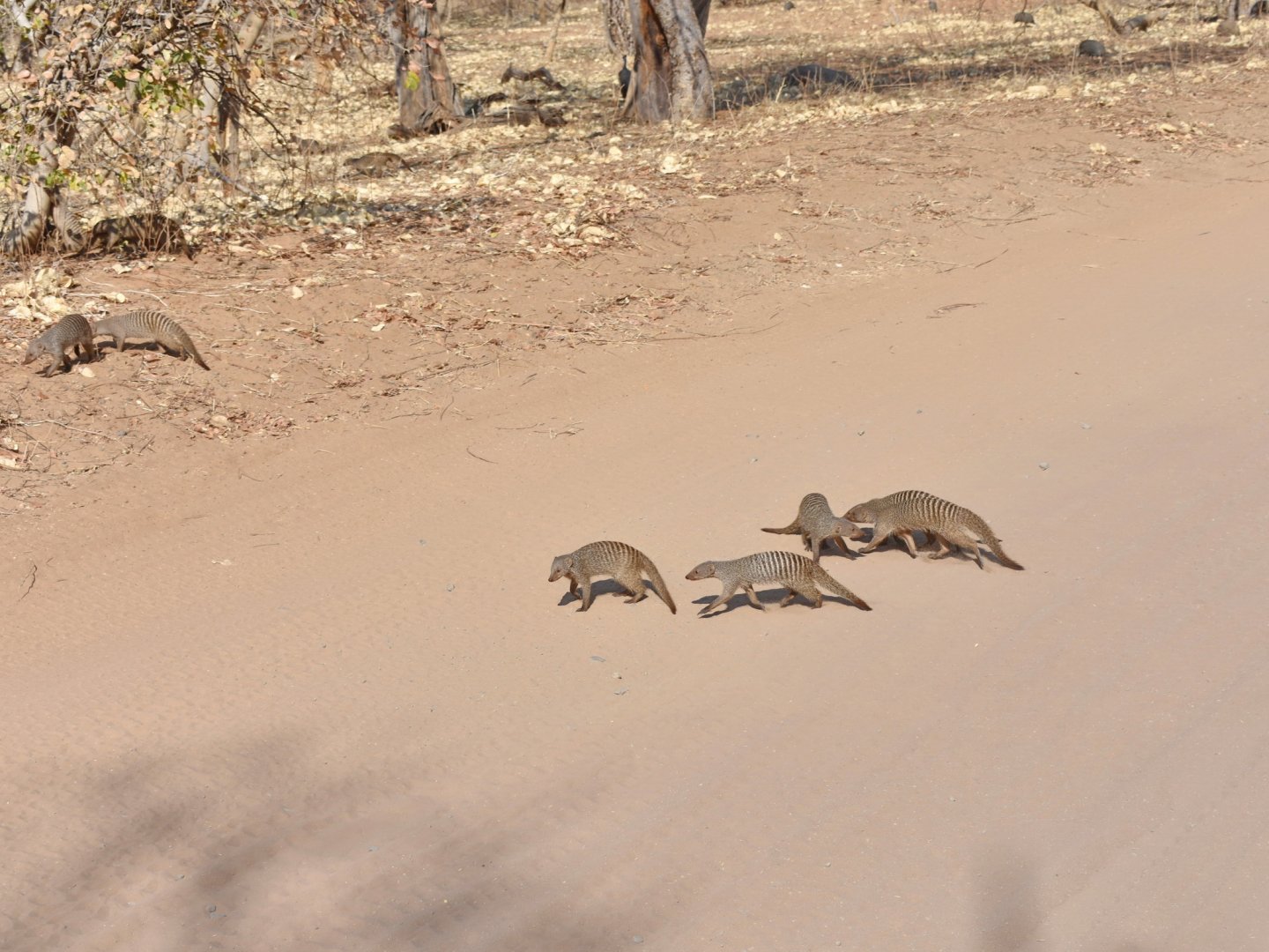 DSC_0999afb (75).JPG