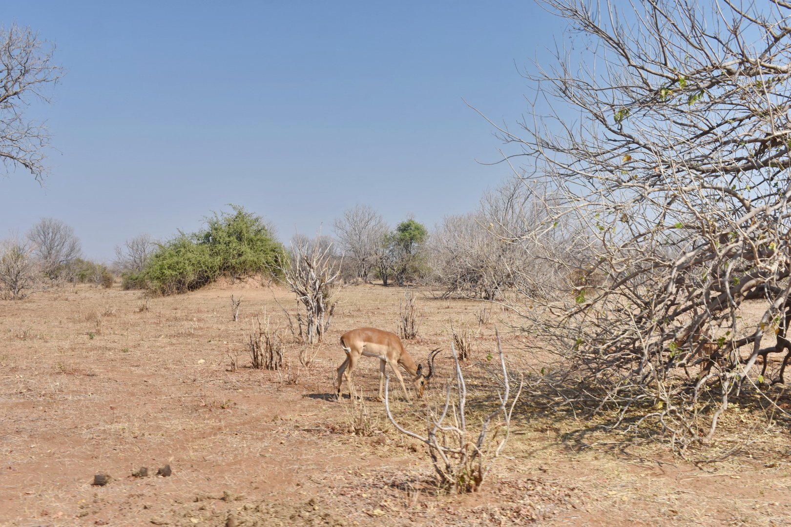 DSC_0999afb (83).JPG