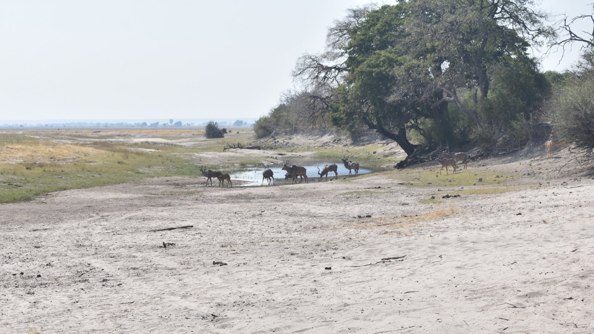 DSC_0999afb (102).JPG