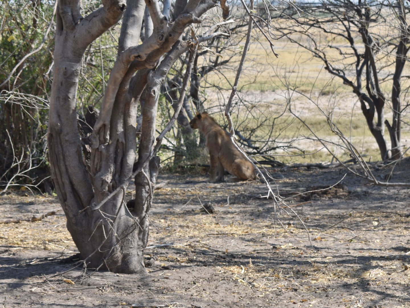 DSC_0999afb (104).JPG