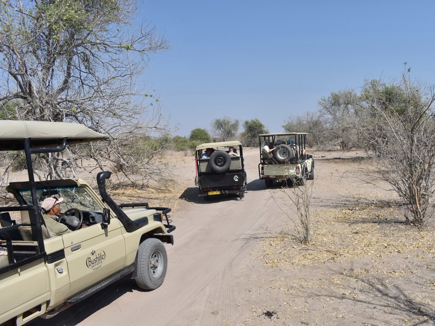 DSC_0999afb (112).JPG