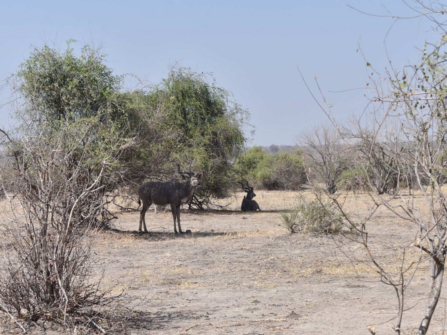 DSC_0999afb (113).JPG