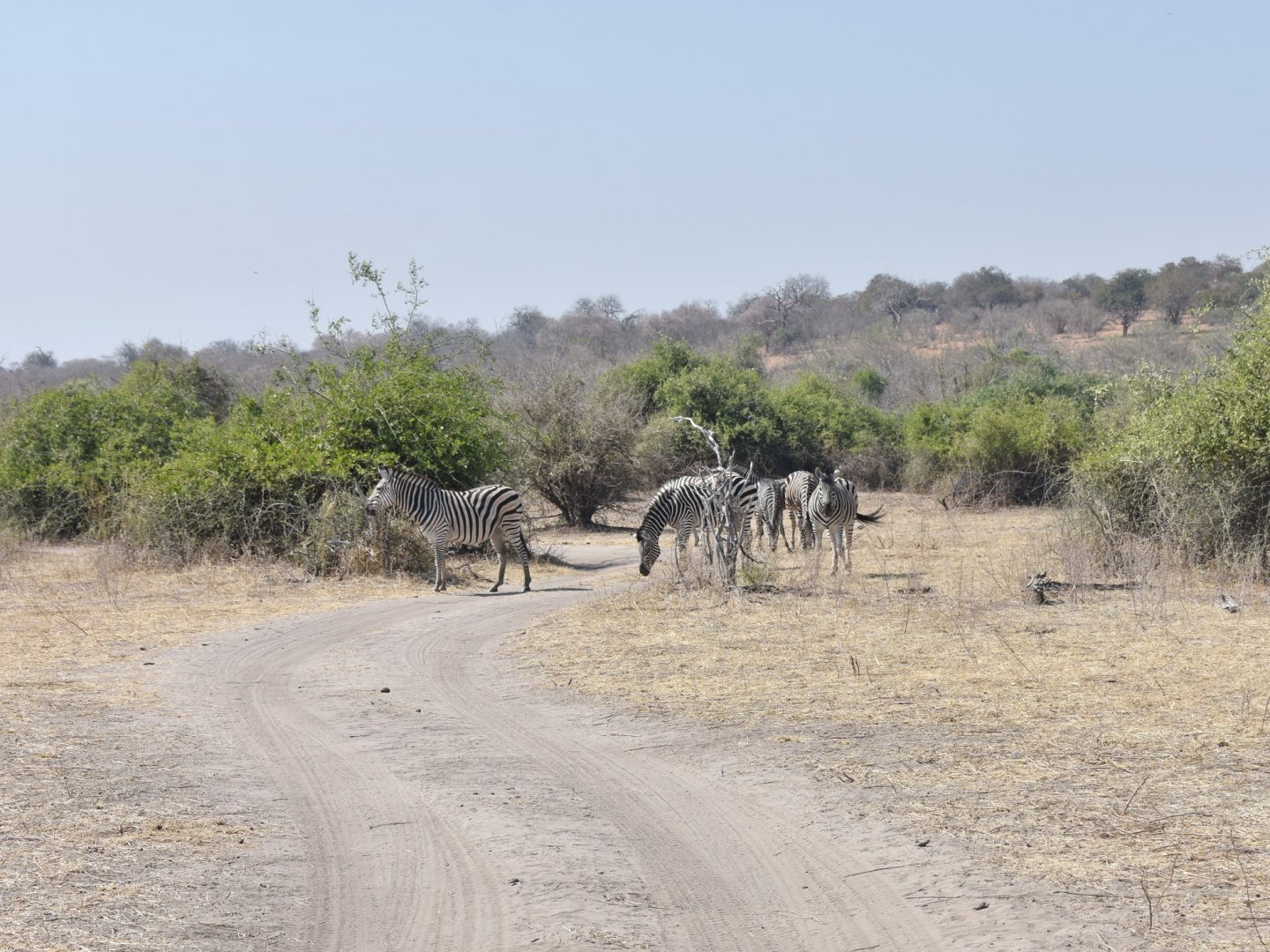 DSC_0999afb (116).JPG