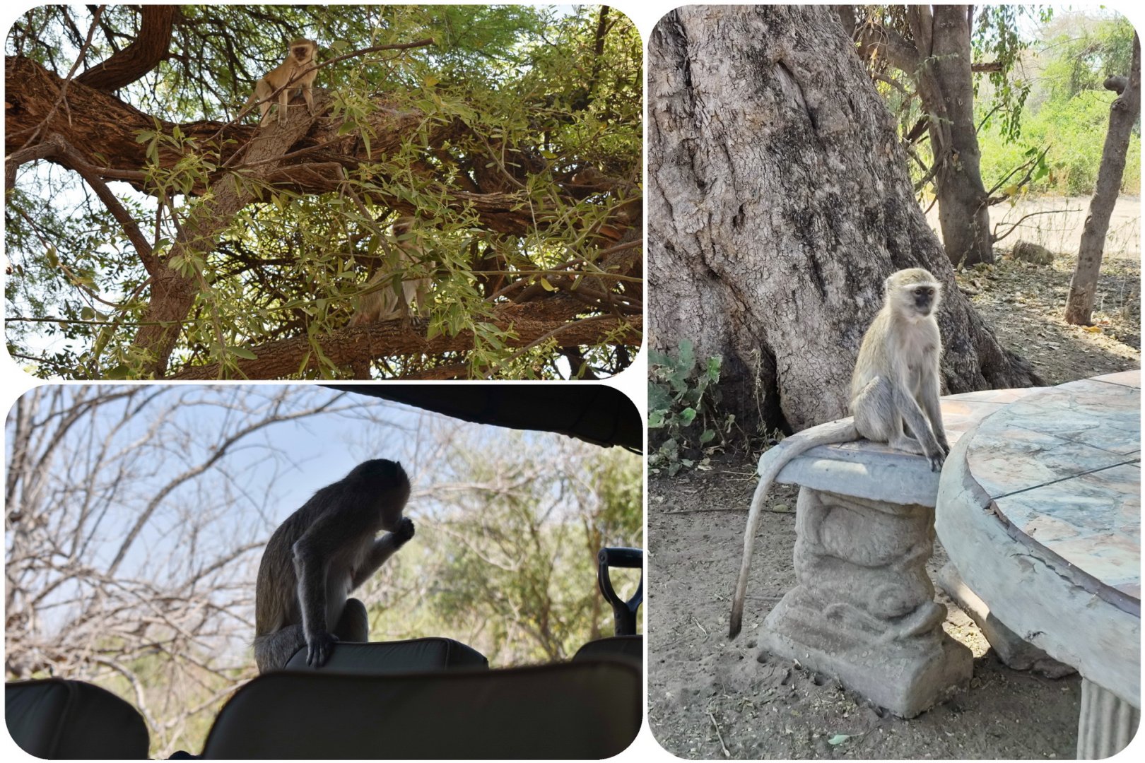 DSC_0999afb (142)b.jpg