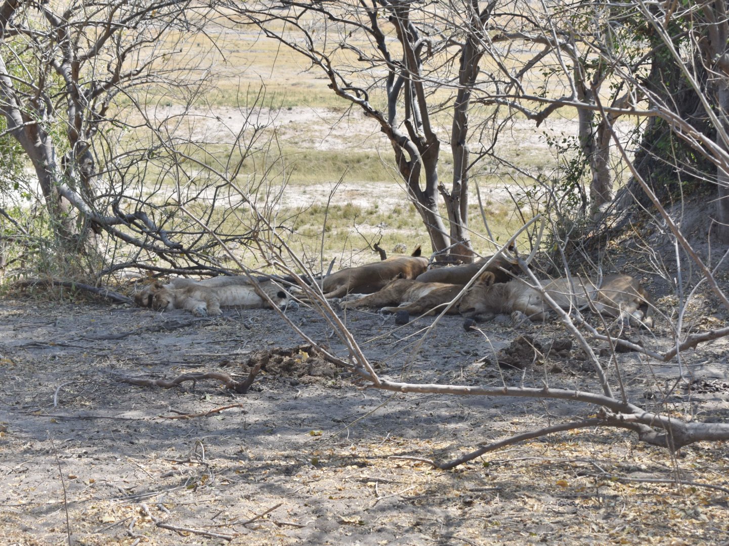 DSC_0999afb (154).JPG