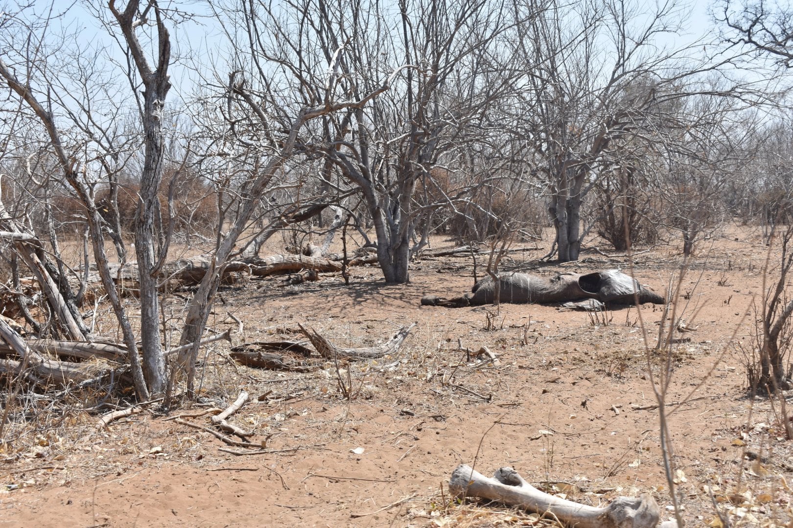 DSC_0999afb (168).JPG