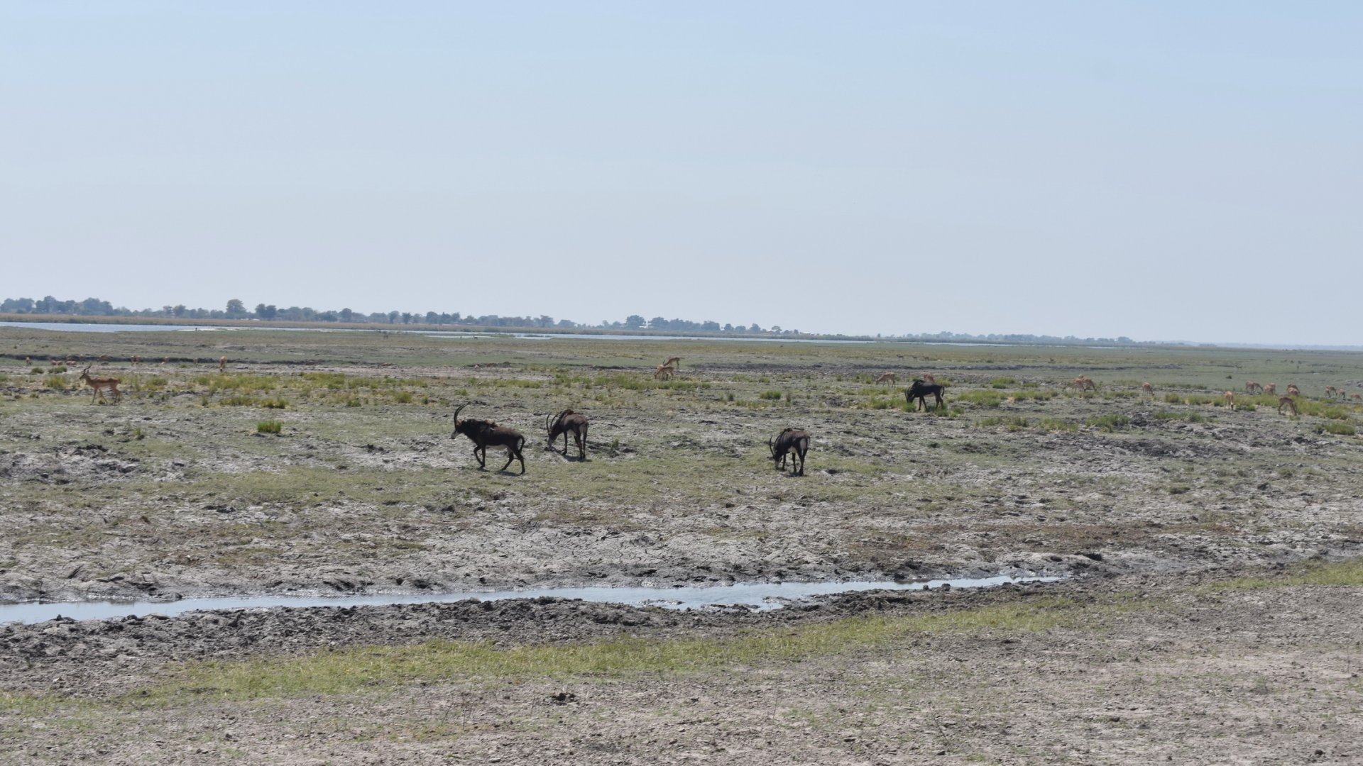 DSC_0999afb (180).JPG