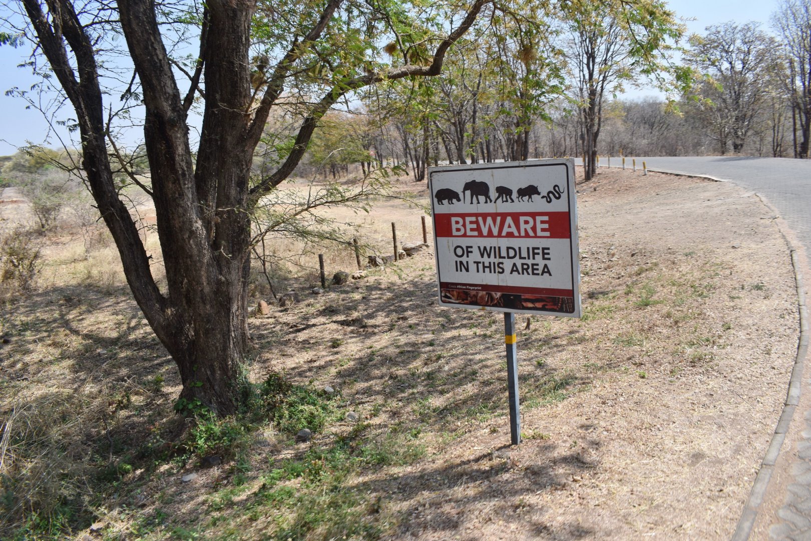 DSC_0999afb (213).JPG