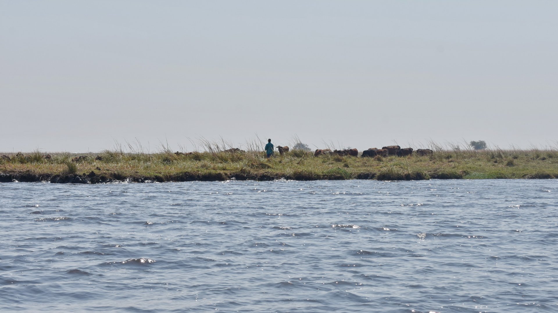 DSC_0999afb (239).JPG