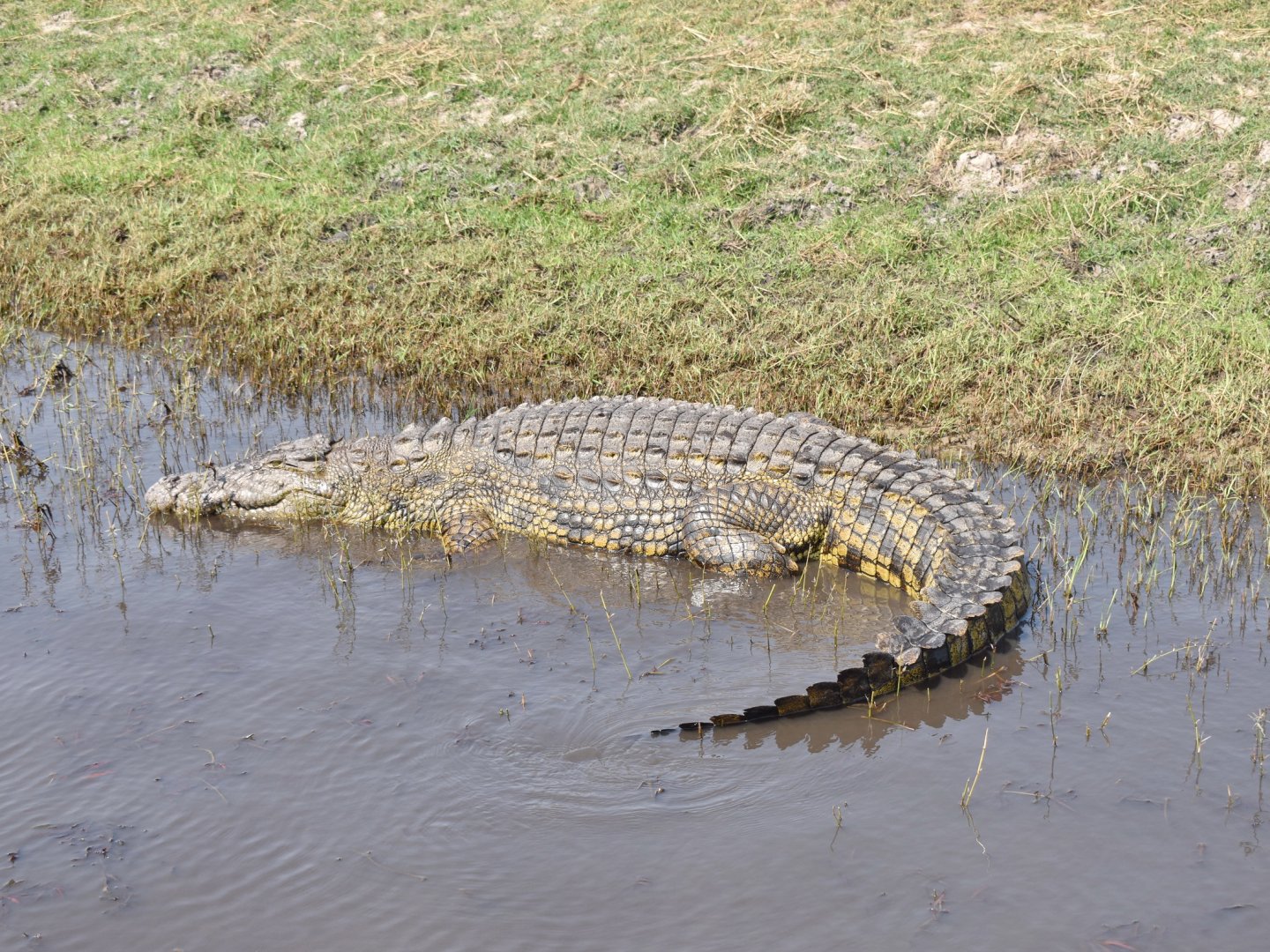 DSC_0999afb (249).JPG