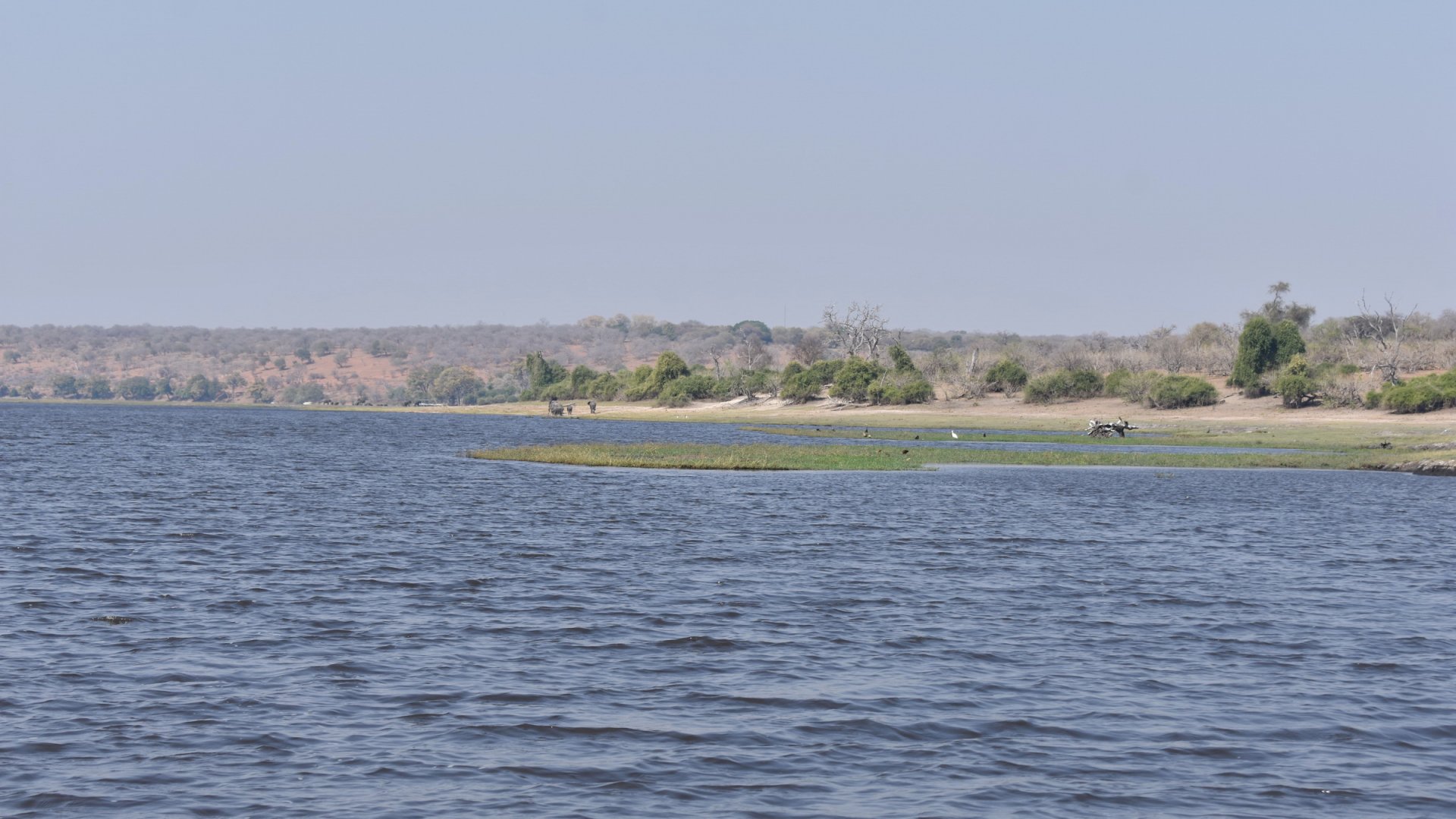 DSC_0999afb (272).JPG