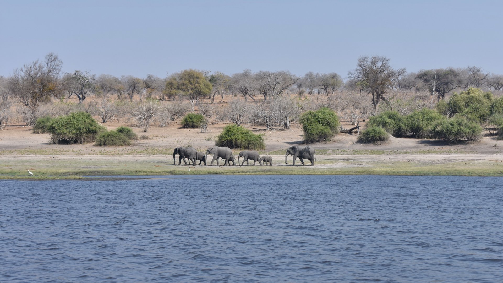 DSC_0999afb (275).JPG