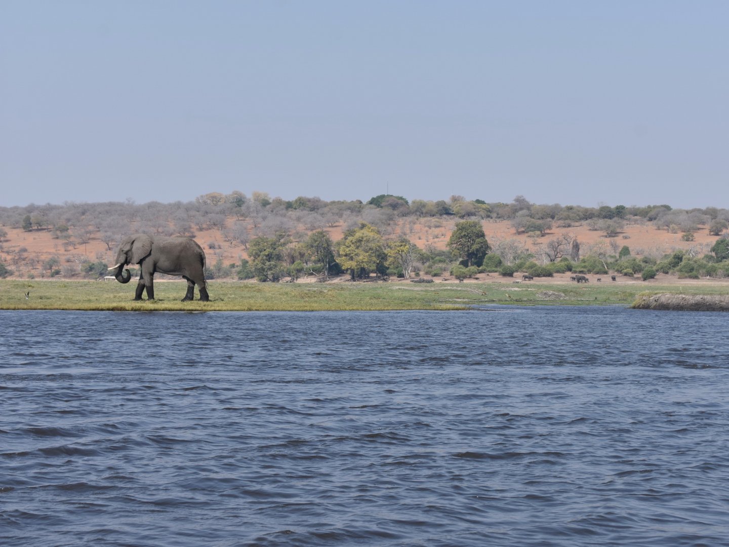 DSC_0999afb (280).JPG