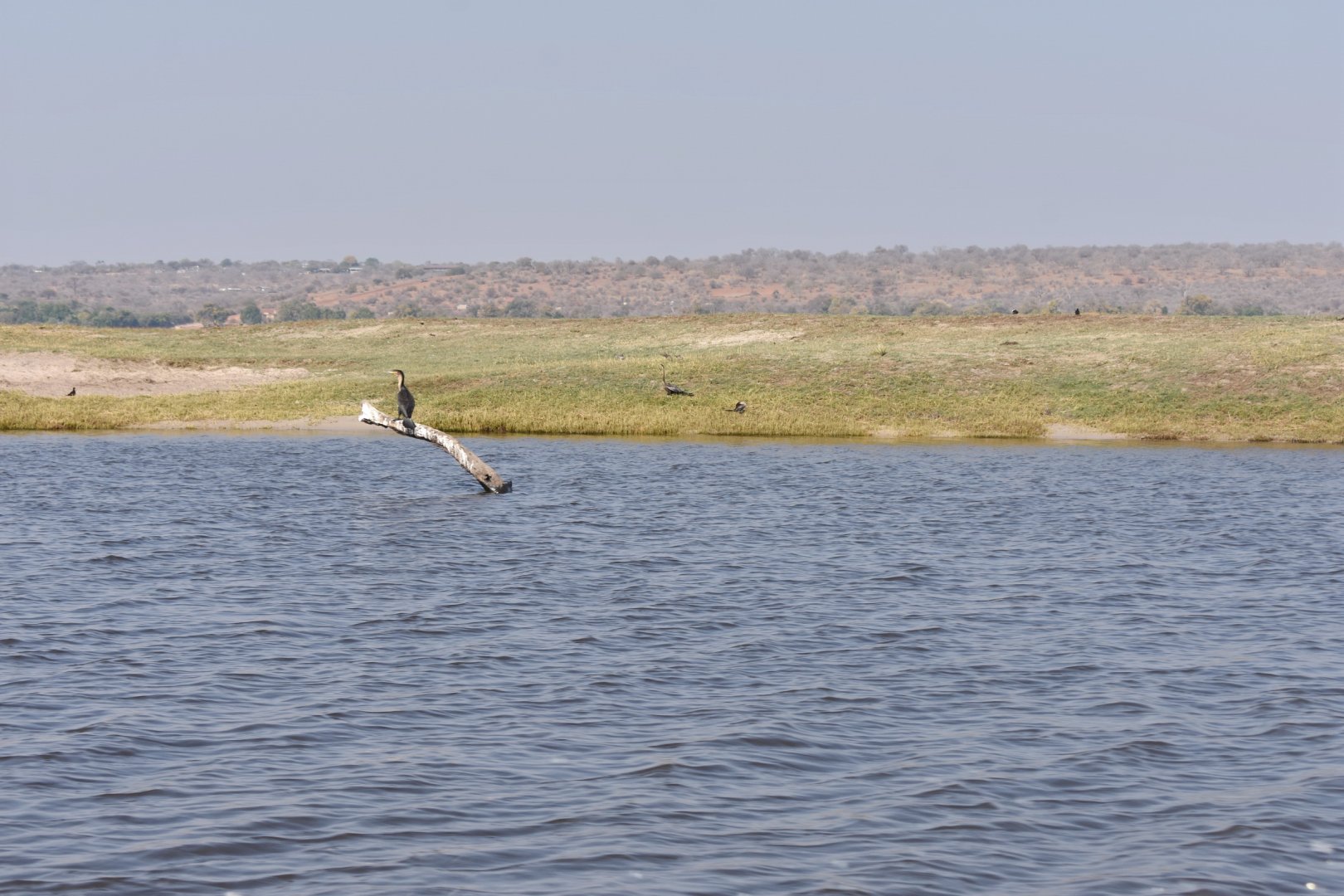 DSC_0999afb (286).JPG