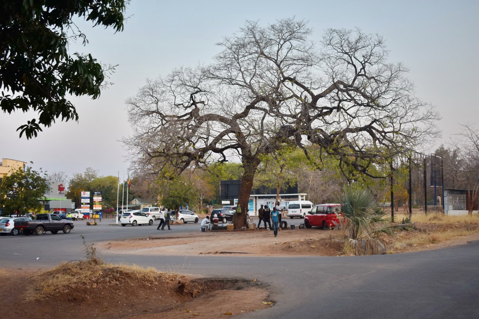 DSC_0999afb (313).JPG