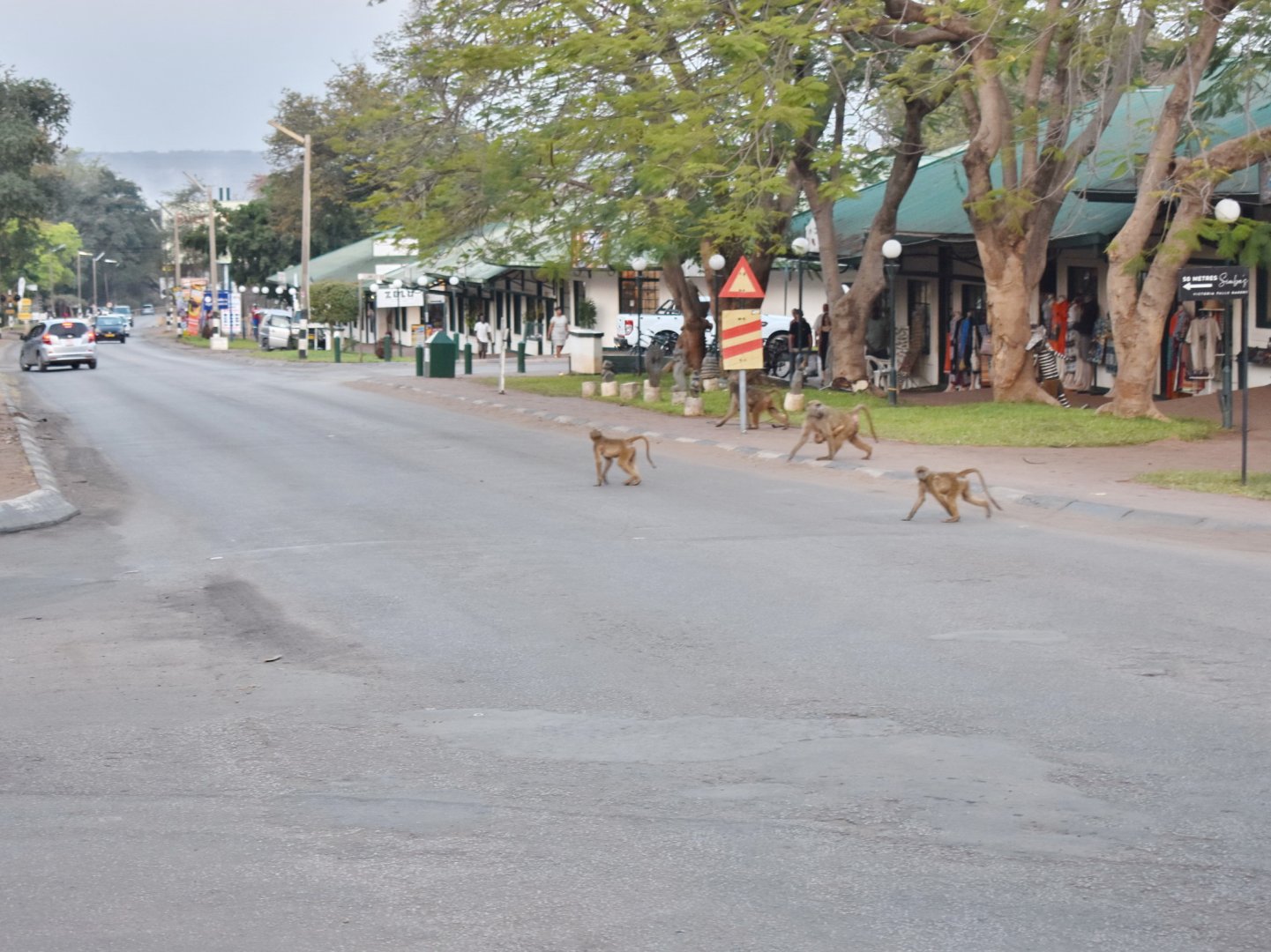 DSC_0999afb (316).JPG