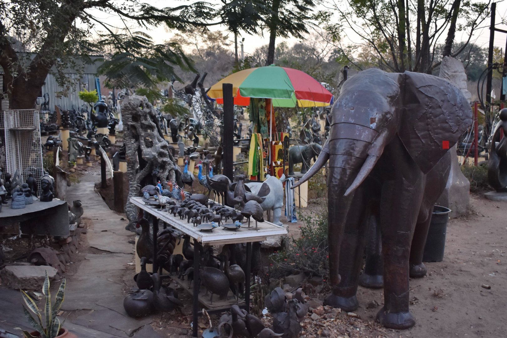 DSC_0999afb (331).JPG