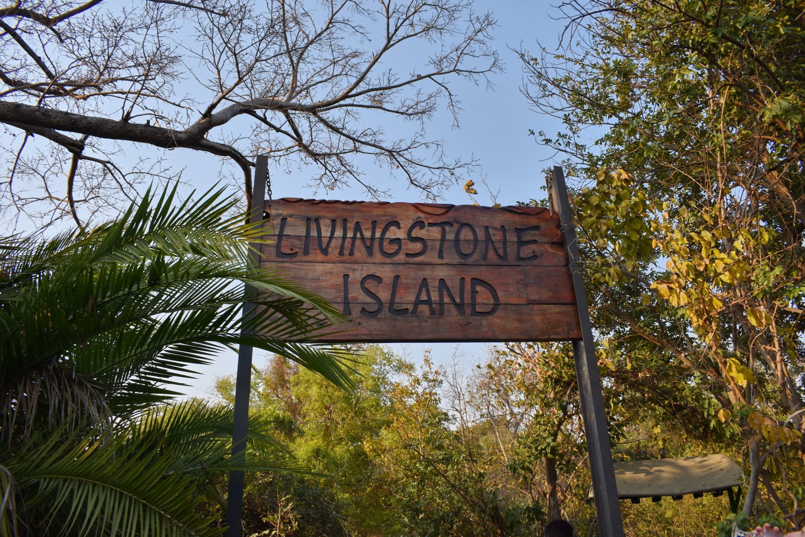 DSC_0999afb (393).JPG