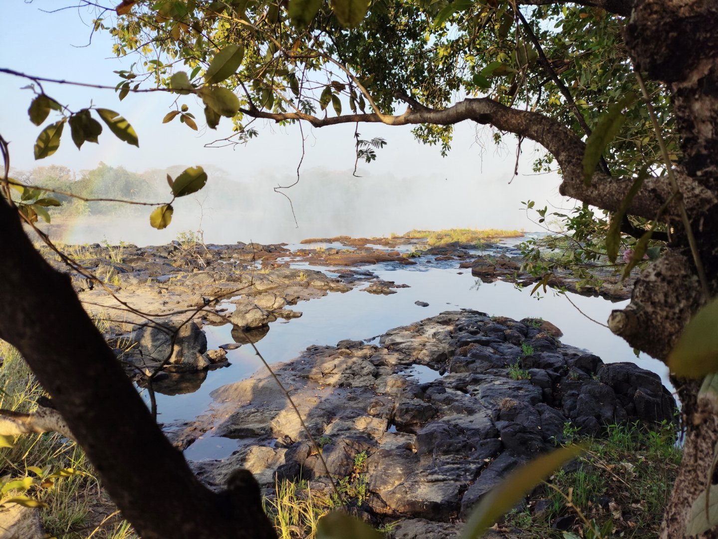 DSC_0999afb (394)p.jpg