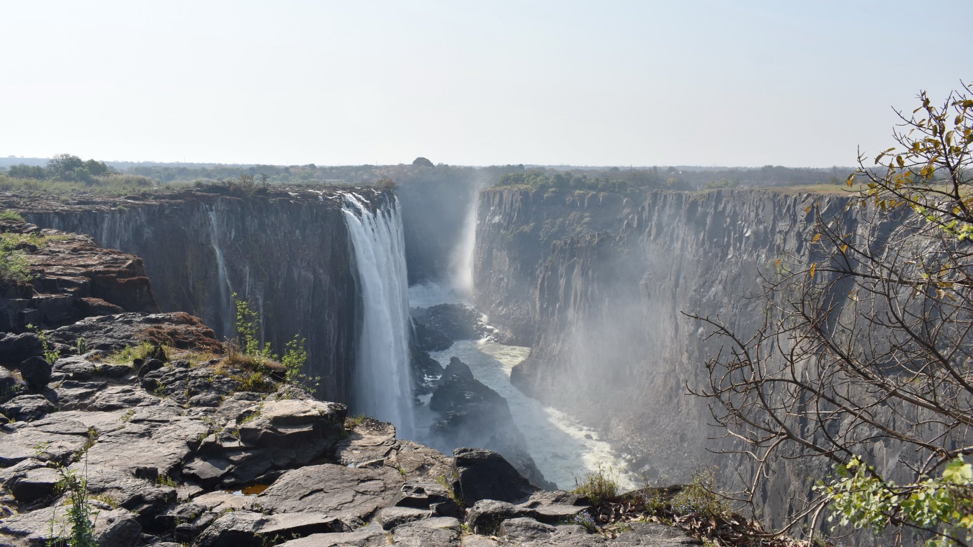 DSC_0999afb (404).JPG