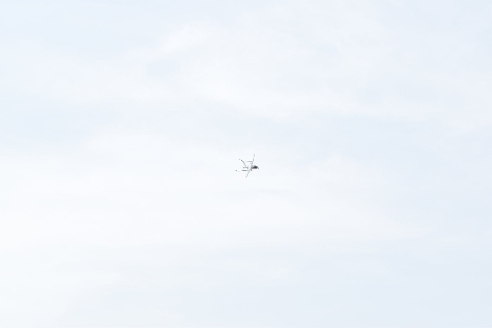 225b. Alia CX300 2.JPG