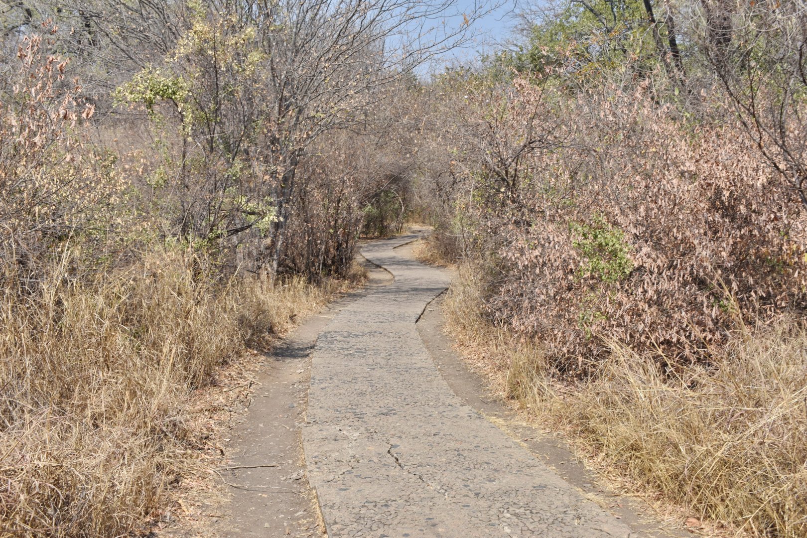 DSC_0999afb (451).JPG