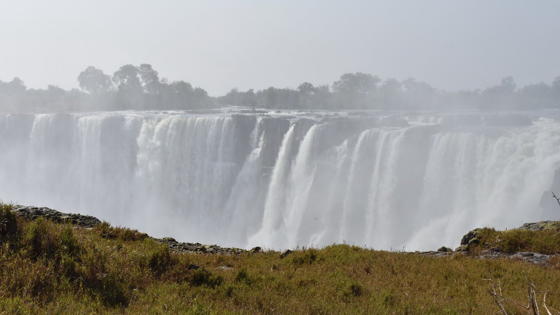 DSC_0999afb (498).JPG