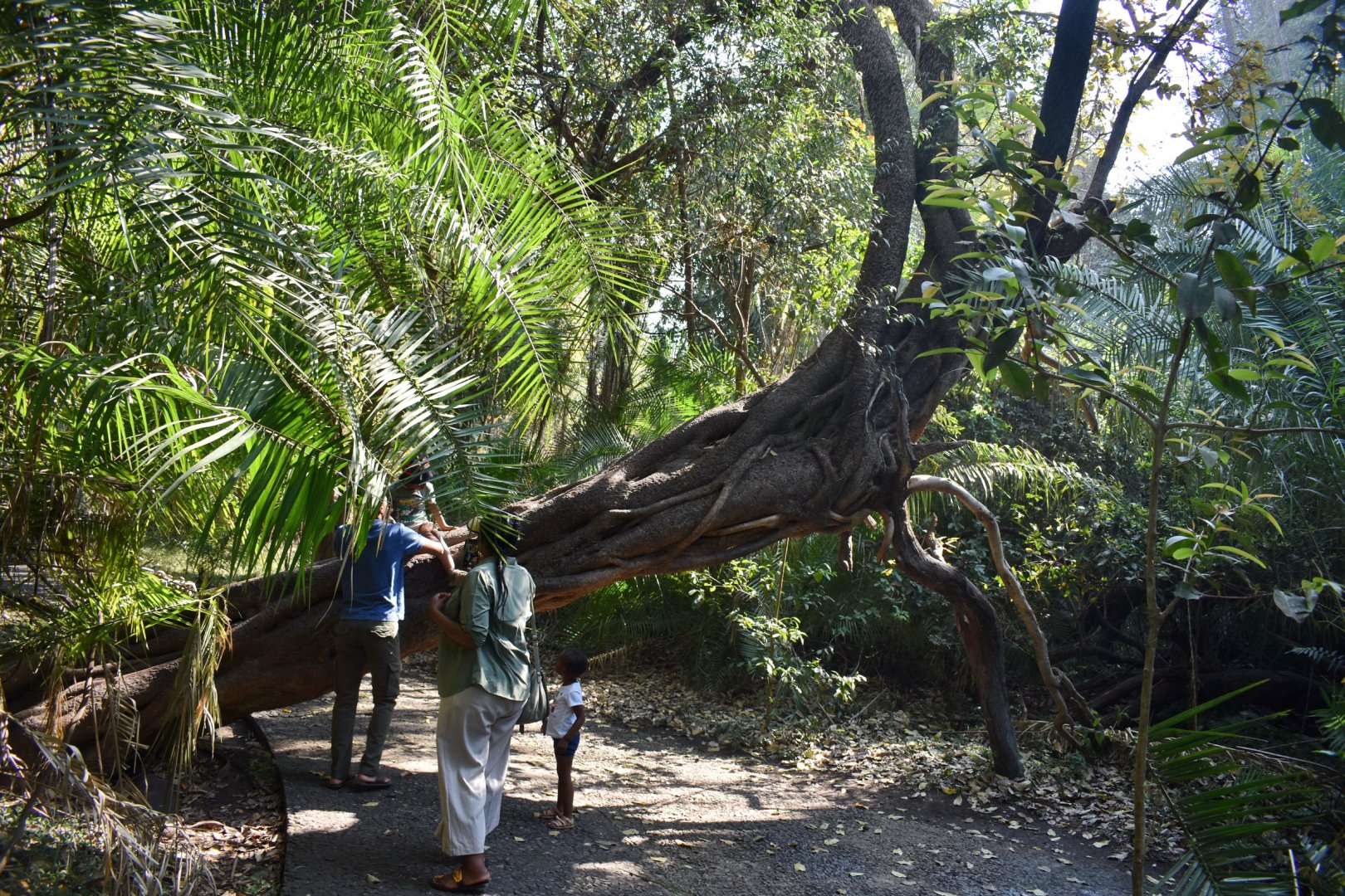 DSC_0999afb (501).JPG