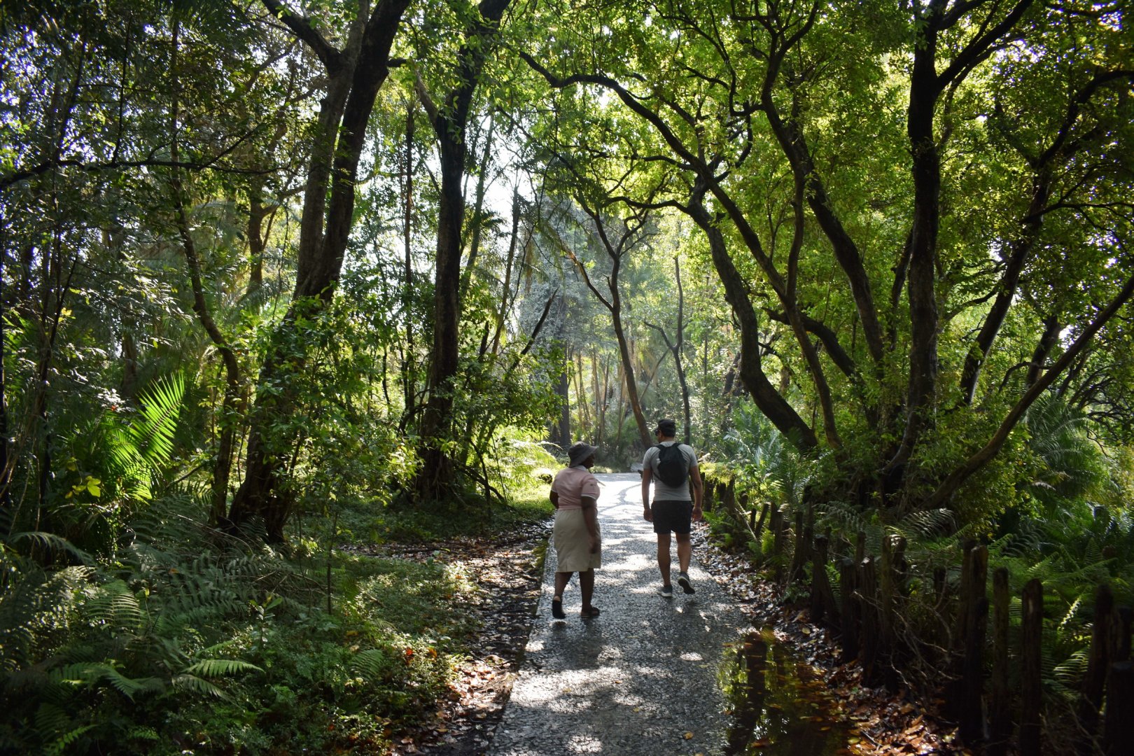 DSC_0999afb (502).JPG