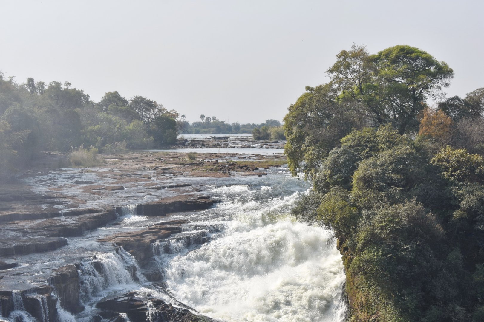 DSC_0999afb (516).JPG