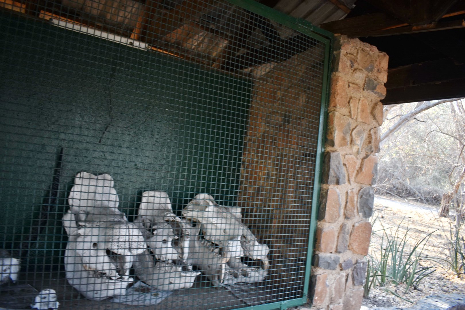 DSC_0999afb (548).JPG