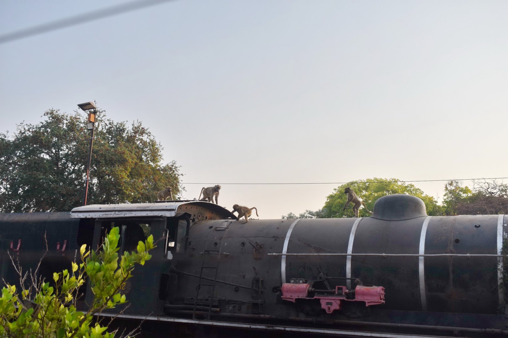 DSC_0999afb (559).JPG