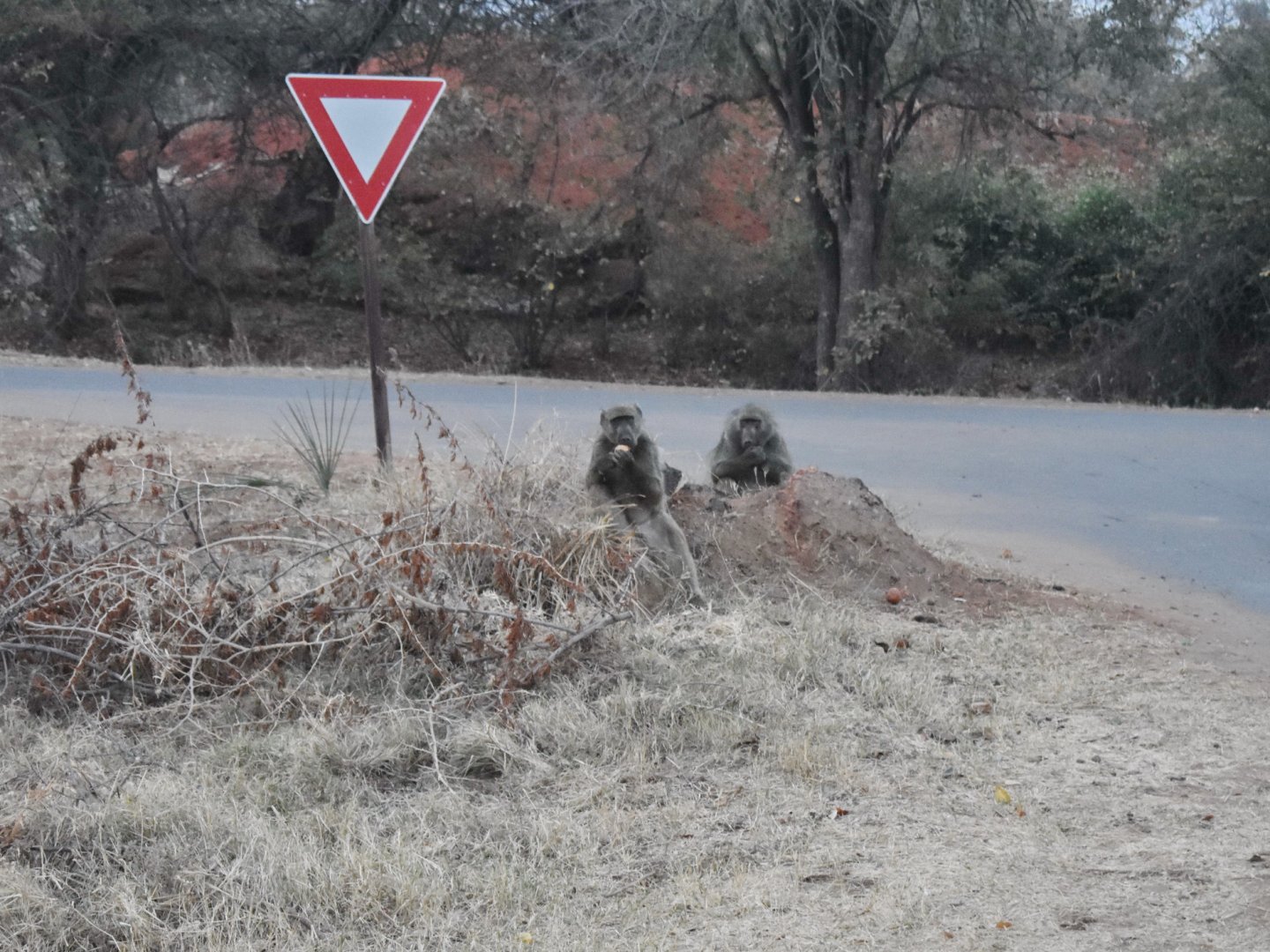 DSC_0999afb (568).JPG