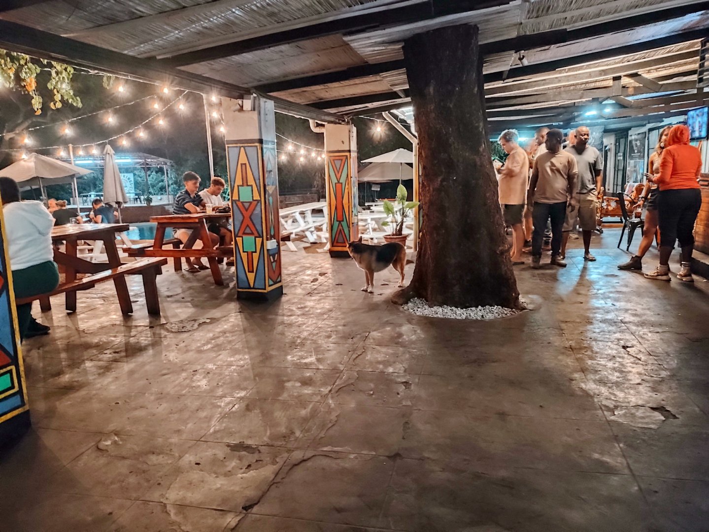 DSC_0999afb (568)j.jpg