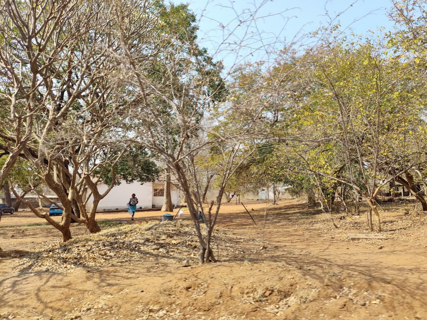 DSC_0999afb (570).jpg