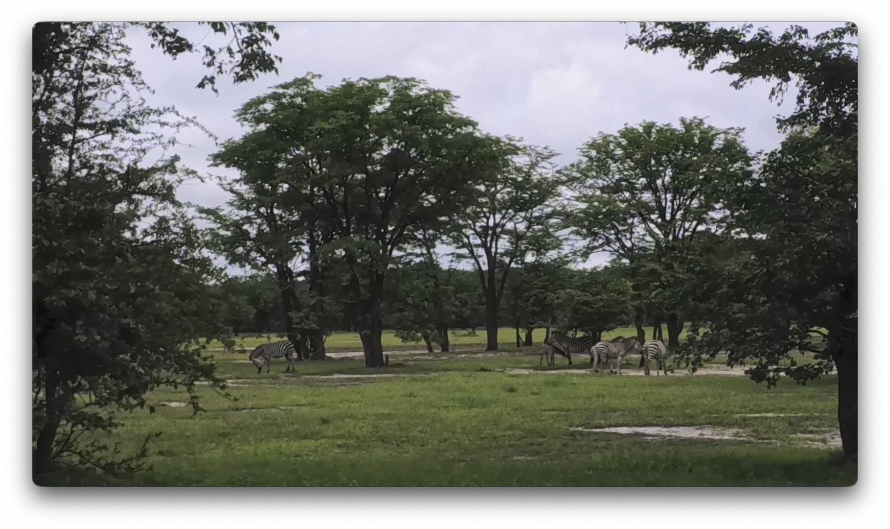 Στιγμιότυπο οθόνης 2026-02-09, 4.30.03 μμ.png