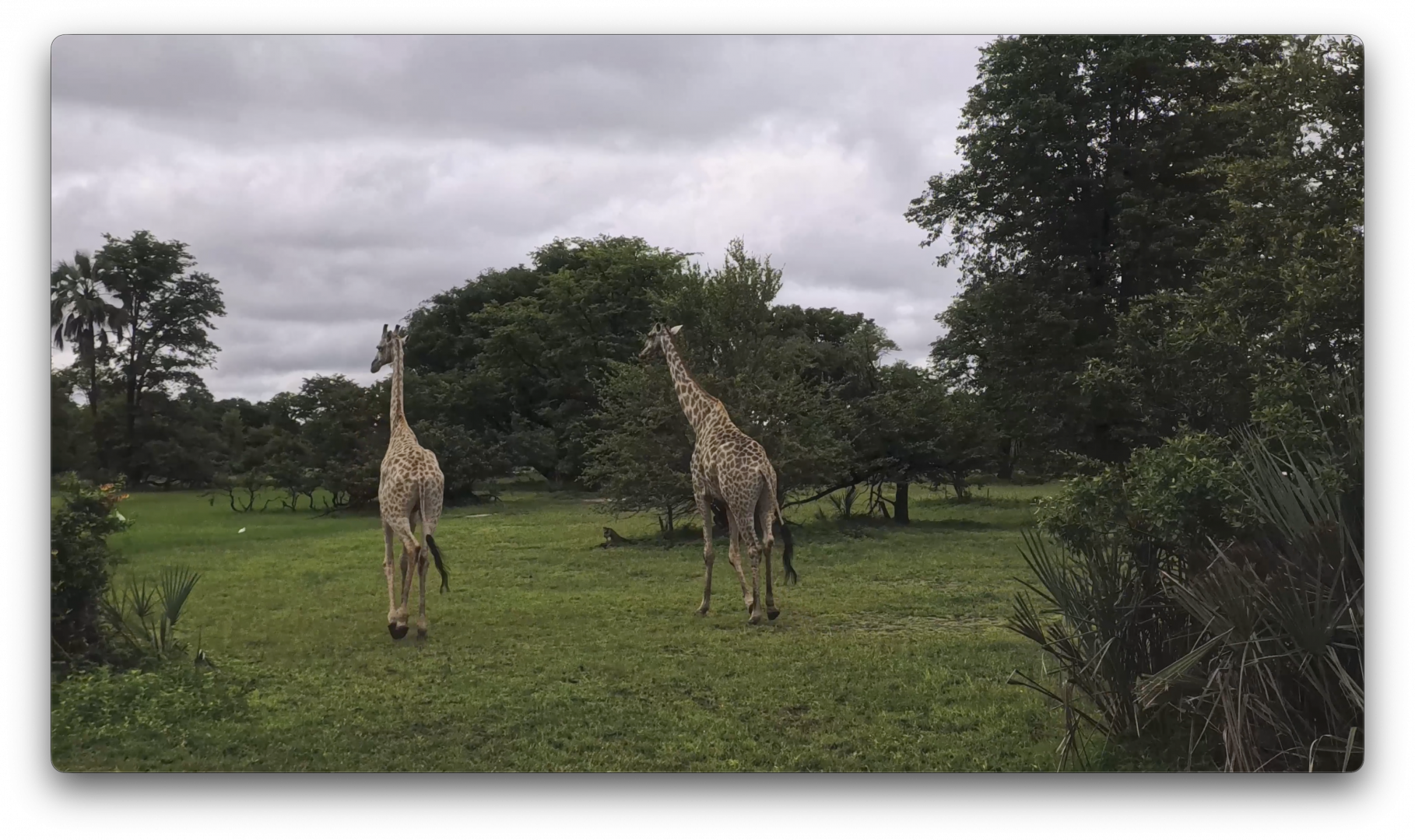 Στιγμιότυπο οθόνης 2026-02-09, 4.29.09 μμ.png