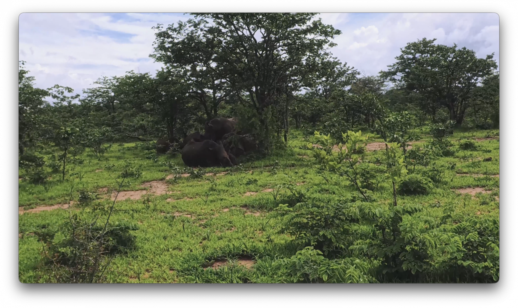 Στιγμιότυπο οθόνης 2026-02-09, 5.50.33 μμ.png