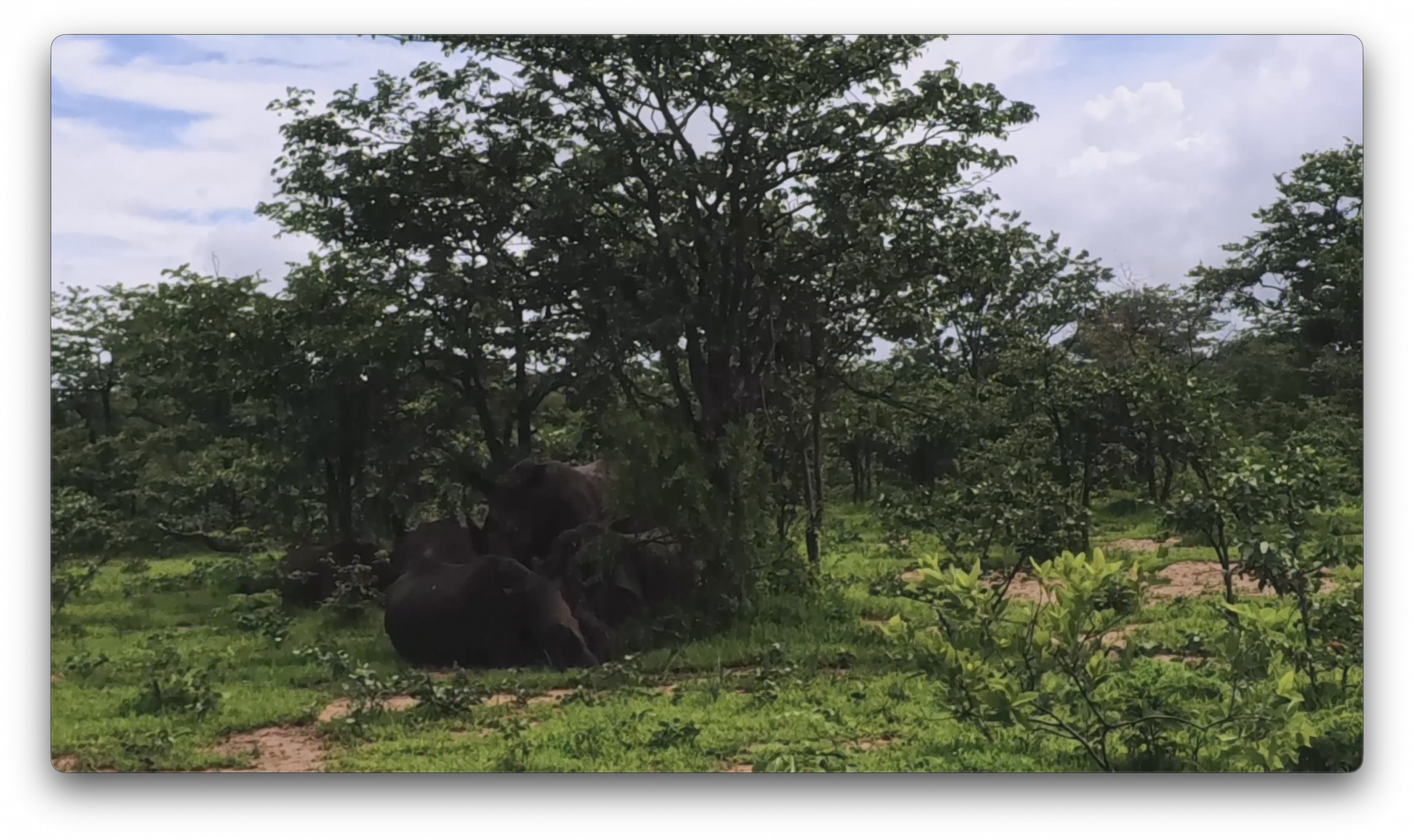 Στιγμιότυπο οθόνης 2026-02-09, 5.50.55 μμ.png