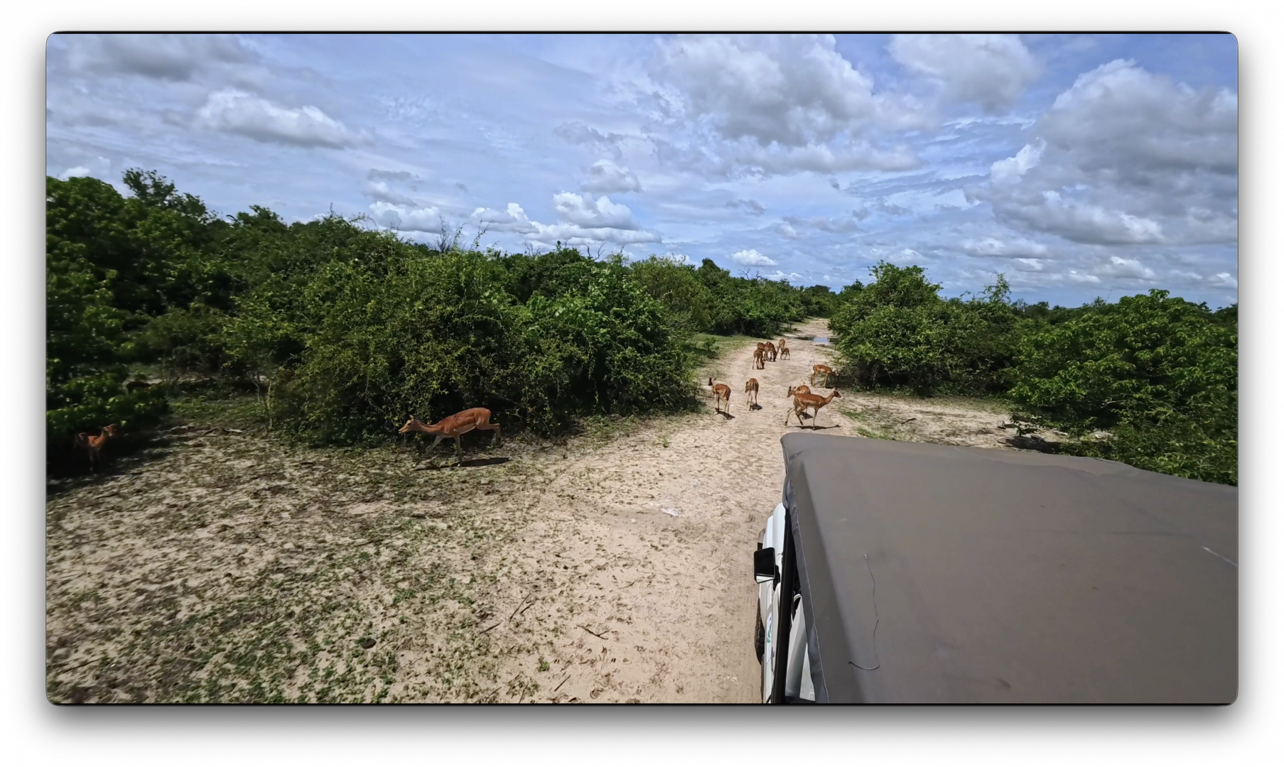 Στιγμιότυπο οθόνης 2026-02-10, 2.12.31 μμ.png