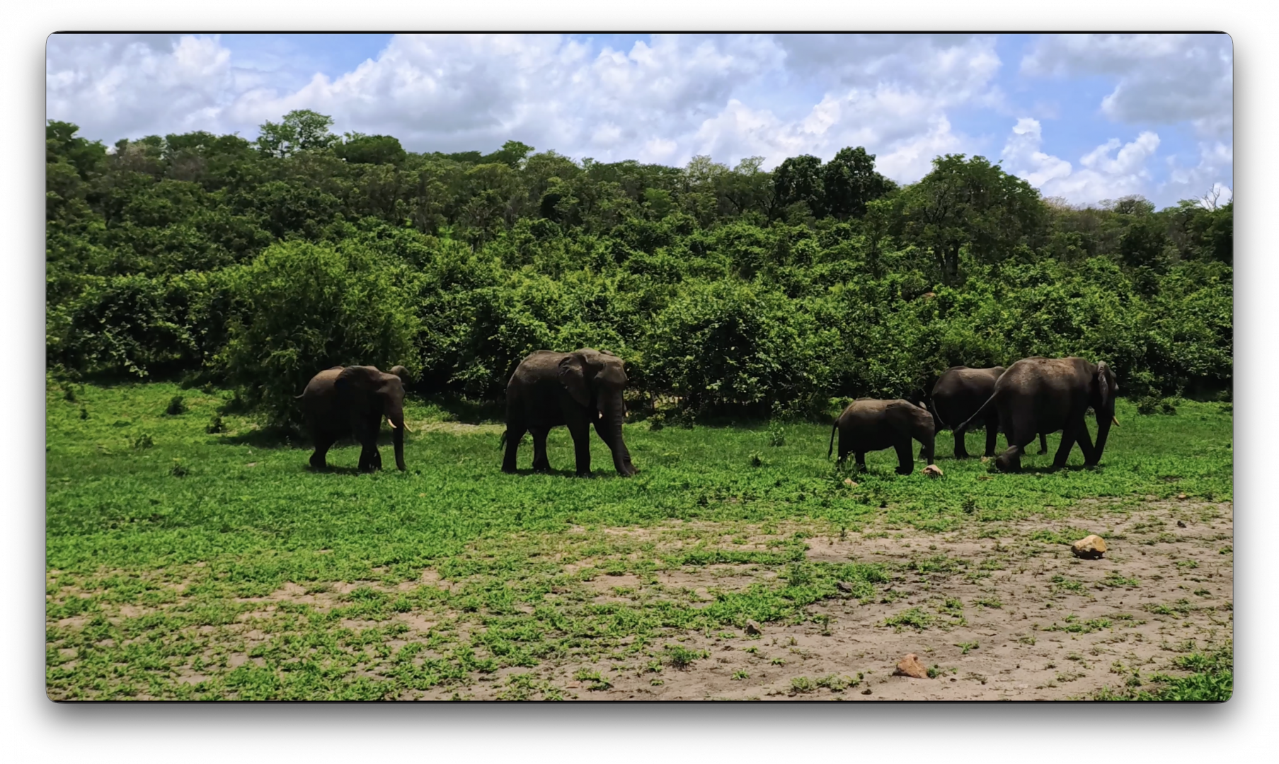 Στιγμιότυπο οθόνης 2026-02-10, 2.13.42 μμ.png