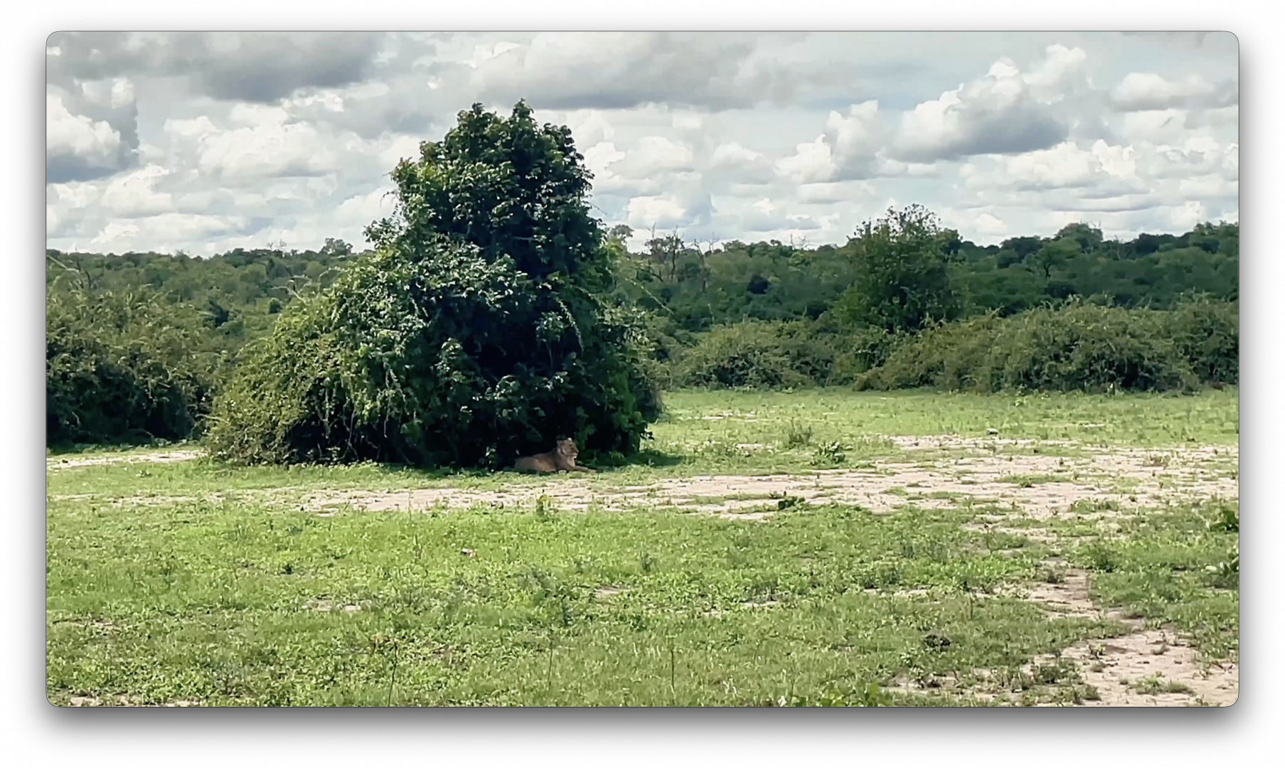 Στιγμιότυπο οθόνης 2026-02-10, 2.12.43 μμ.png